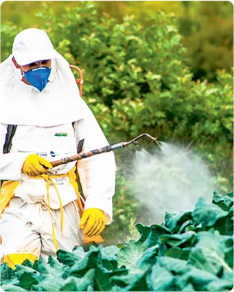 Pesticides Plant Health