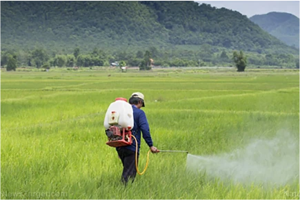 environmentally friendly weed killer