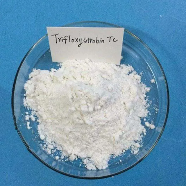 diatomaceous earth bug killer
