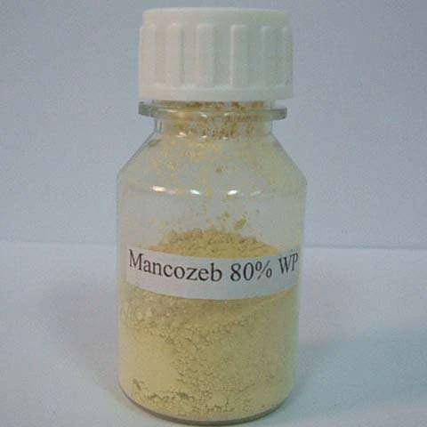 indoor plant insecticide