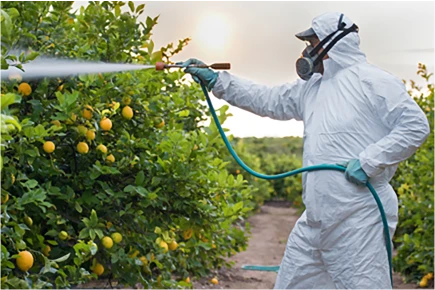 glyphosate systemic herbicide